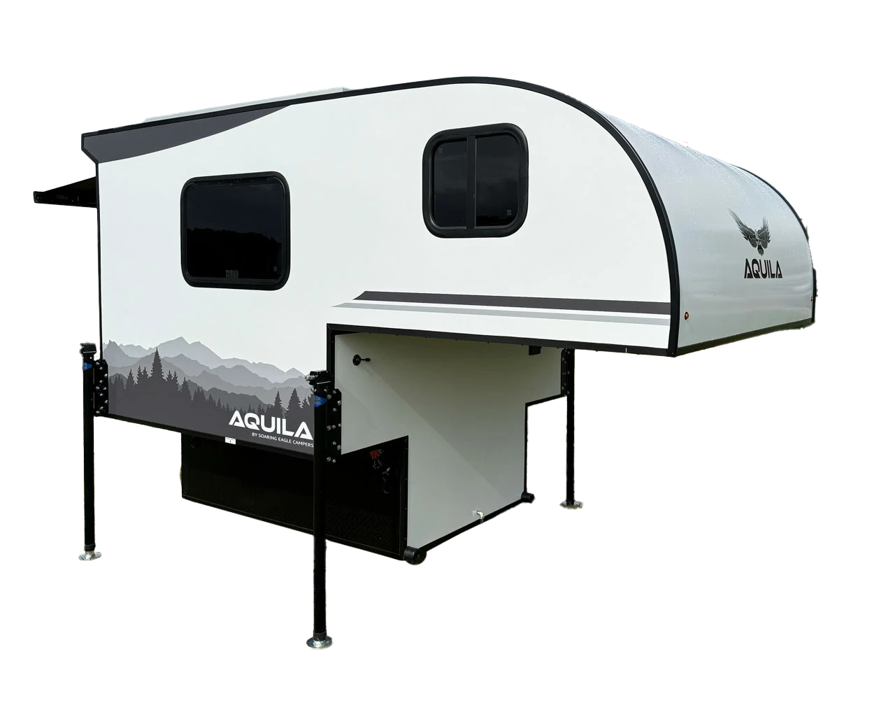 Soaring Eagle Aquila
